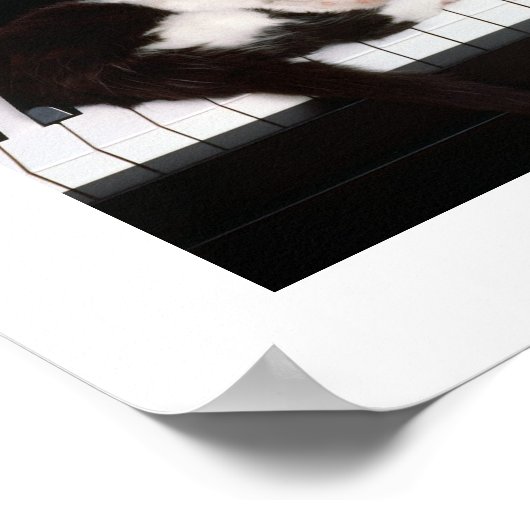 Piano Kitten Poster (Hoek)