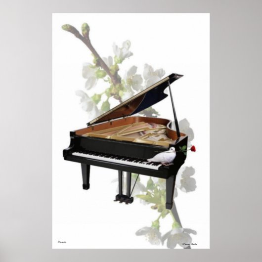 Piano-Poster Poster (Voorkant)