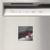 Pianosleutels met een rode roze magneet (Insitu (Vaatwasser))