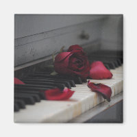 Pianosleutels met een rode roze