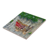 Piasa Bird Illinois Native American Legend Tegeltje (Zijkant)