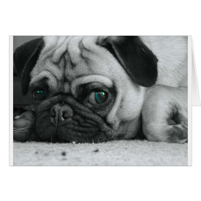 pic (Devant horizontal)