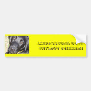 pic4, Labradoedles doen het zonder dat ze hoeven t Bumpersticker