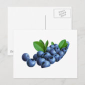 pic_11 briefkaart (Voorkant / Achterkant)