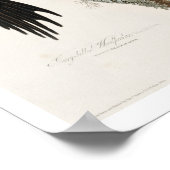 Pic à l'ivoire par Audubon Poster (Coin)