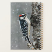 Pic Downy en neige - Photo originale (Dos)