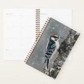 Pic Downy en neige - Photo originale (Devant avec enveloppe)