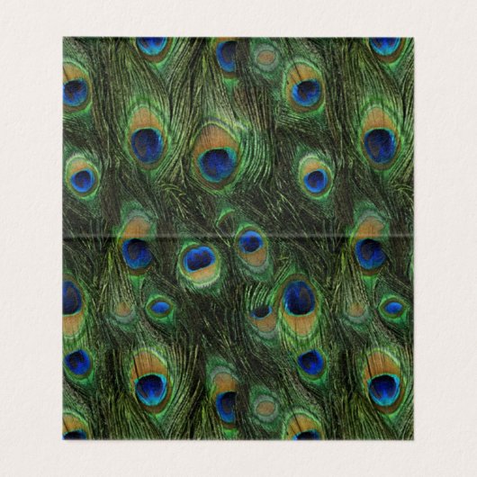 Pic Or (Inside Unfolded)