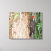 Pic pilé sur toile (Recto)