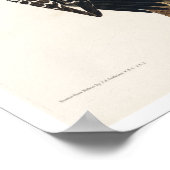 Pic rouge coquillé par Audubon Poster (Coin)