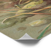 Pica pica, Lycus monedula Poster (Hoek)