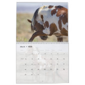 Picasso : Calendrier du bassin du coeur du sable (Mar 2026)