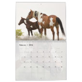 Picasso : Calendrier du bassin du coeur du sable (Feb 2026)