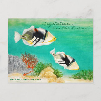 Picasso Trigger Fish Briefkaart