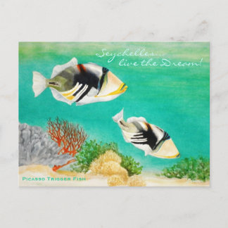 Picasso Trigger Fish Briefkaart