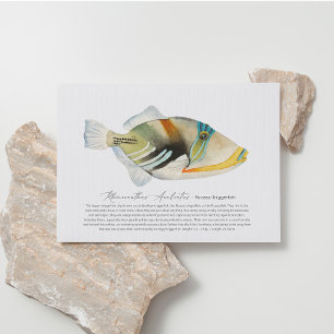 Picasso Triggerfish Feestdagenkaart