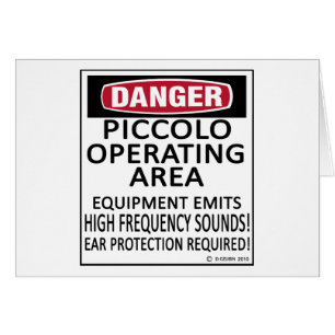 Piccolo-besturingssysteem