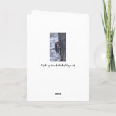 Pichet de Sapsucker à nuque rouge Carte vierge (Dos)