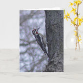 Pichet de Sapsucker à nuque rouge Carte vierge (Fleur jaune)