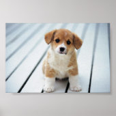 PICK OP IEMAND VAN UW EIGEN GROOTTE POSTER (Voorkant)