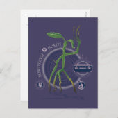 PICKETT™ de BOWTRUCKLE™ grafische kaart (Voorkant / Achterkant)