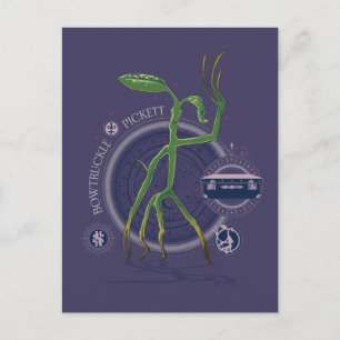 PICKETT™ de BOWTRUCKLE™ grafische kaart