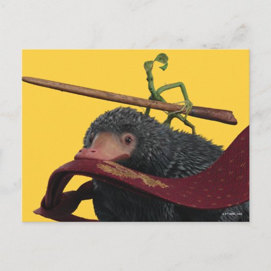 Pickett & Teddy With Wand and Tie Briefkaart (Voorkant)