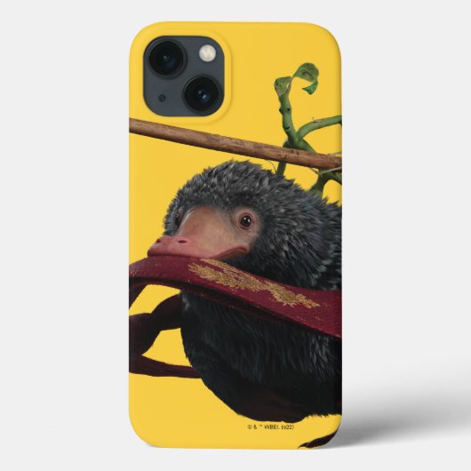 Pickett & Teddy With Wand and Tie Case-Mate iPhone Case (Achterkant)