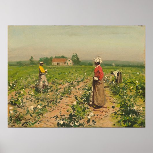 Picking Cotton - William G. Gaul Poster des beaux- (Devant)