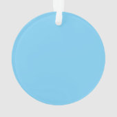 Pickle Ball Ornament (achterkant)