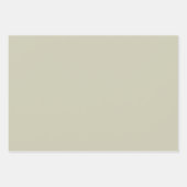 Pickle Lover  Ingeblikte Pickles Jar Christmas Inpakpapier Vel (Voorkant 2)