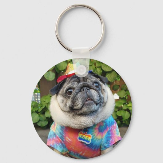 Pickles Colorful Sleutelhanger (Voorkant)