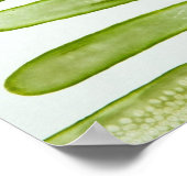 Pickles Green Poster (Hoek)