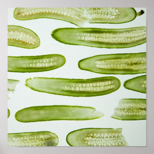 Pickles Green Poster (Voorkant)