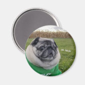 Pickles Heck Magnet Magneet (Voorkant / Achterkant)