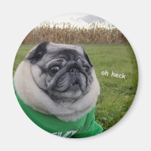 Pickles Heck Magnet Magneet