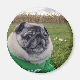 Pickles Heck Magnet Magneet