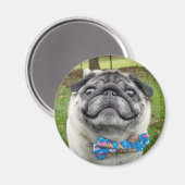 Pickles Magnet Magneet (Voorkant / Achterkant)