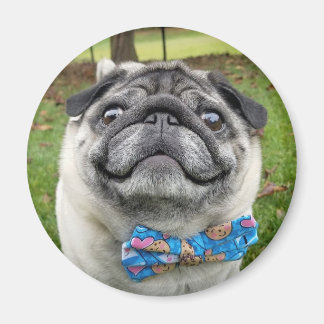 Pickles Magnet Magneet