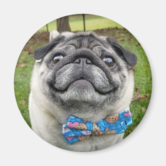 Pickles Magnet Magneet (Voorkant)