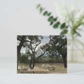 Picknickplaats bij Tannock Weir. Briefkaart (Staand voorkant)