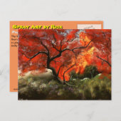 Picnic Briefkaart (Voorkant / Achterkant)