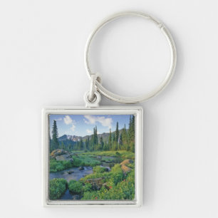 Picnic Creek in de Jewel Basin van de Swan Sleutelhanger