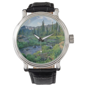 Picnic Creek in het joodbekken van de Swan Horloge