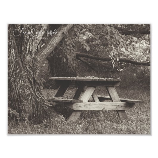 Picnic Foto Afdruk (Voorkant)