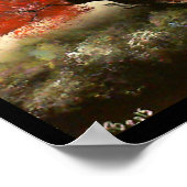 Picnic Poster (Hoek)