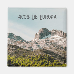 Picos de Europa Spanje Berglandschap Foto Magneet