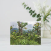 Pics et vallées de la carte postale el yunque (Debout devant)