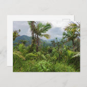 Pics et vallées de la carte postale el yunque (Devant / Derrière)