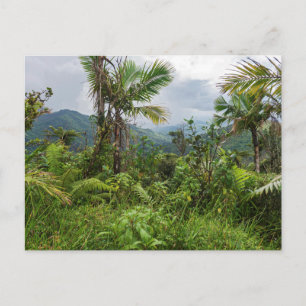 Pics et vallées de la carte postale el yunque